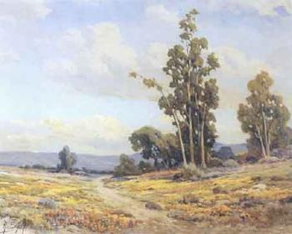 California in bloom by Angel Espoy