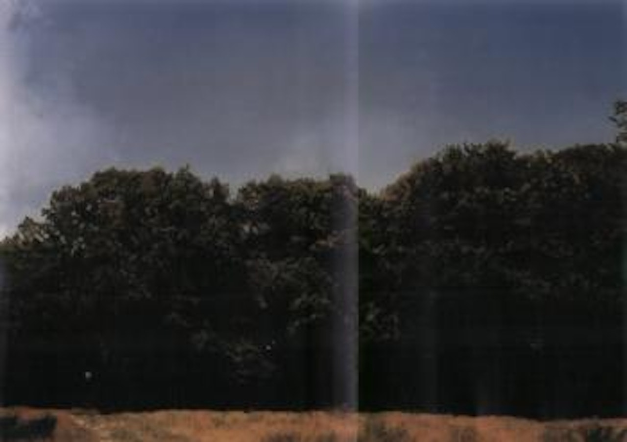 Baume by Gerhard Richter