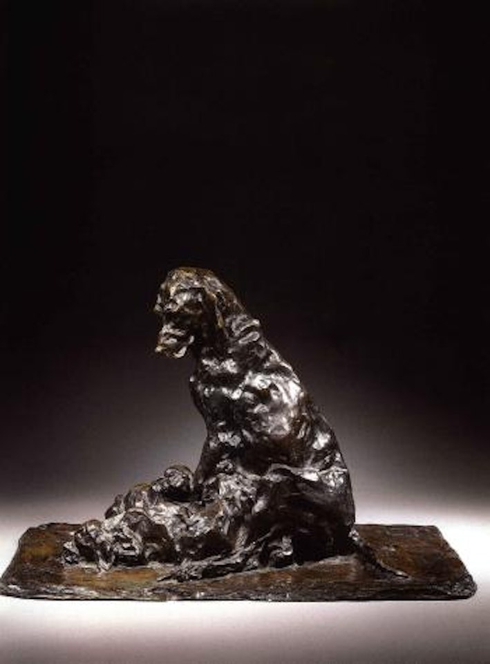 Chienne Braque et ses petits by Rembrandt Bugatti