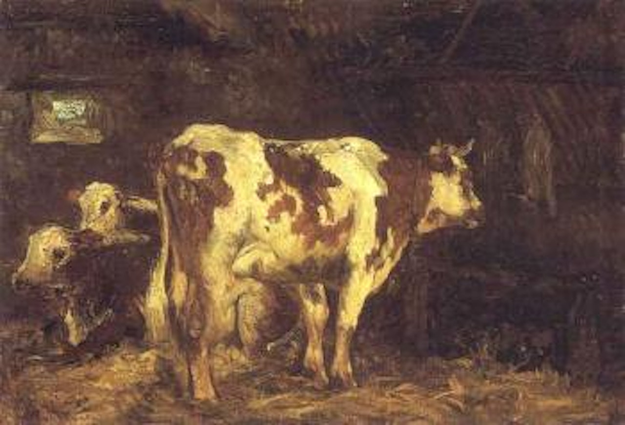 Vaches a l'etable by Gustave Courbet