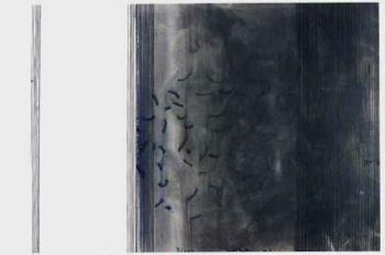 Requiem by Ralph Hotere