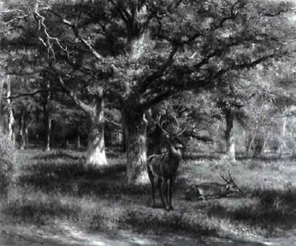 Deer on the edge of a wood by Rosa Bonheur