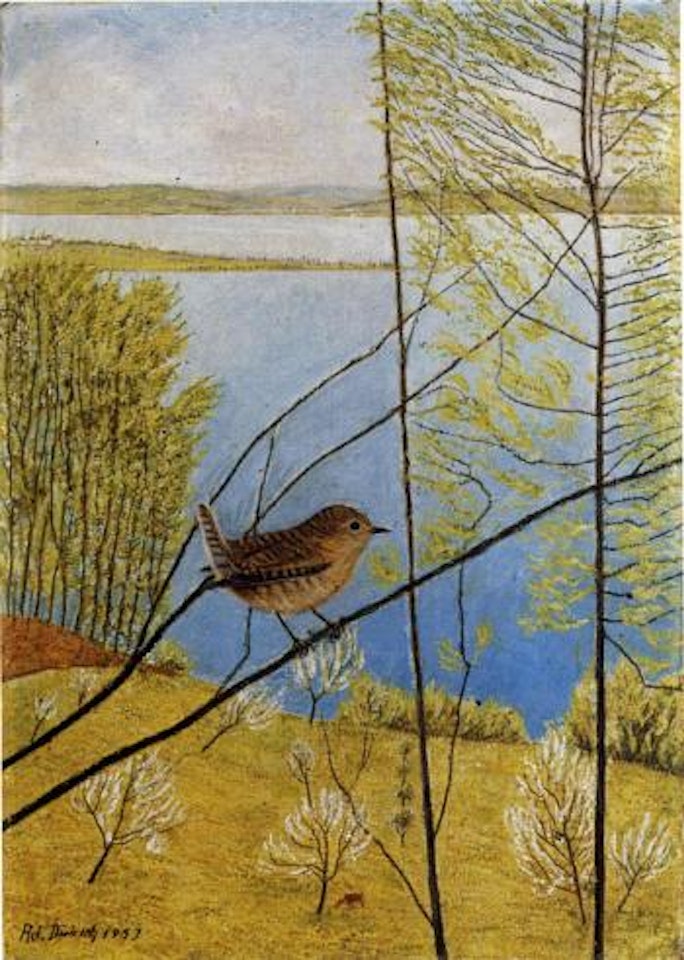 Wren on branch in spring landscape by Adolf Dietrich