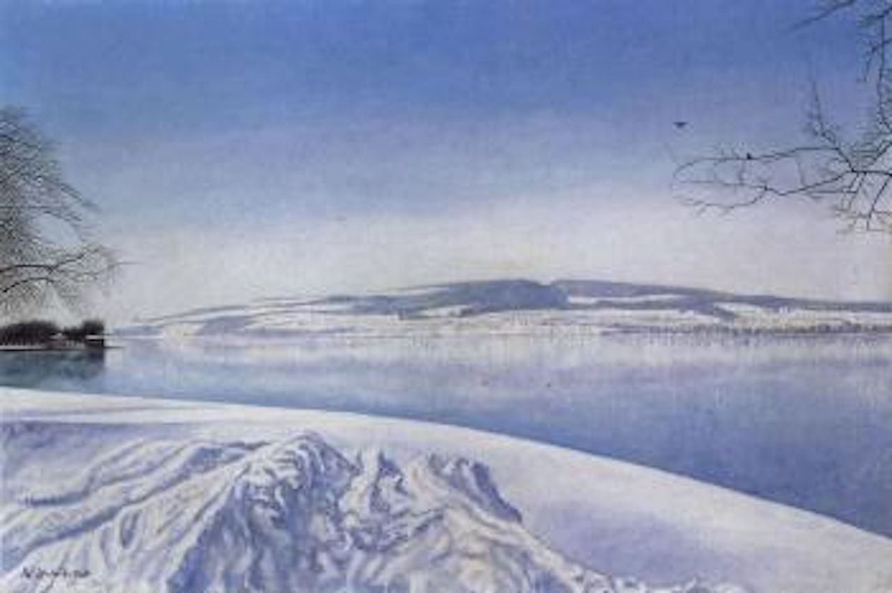 Winter landscape, Untersee by Adolf Dietrich