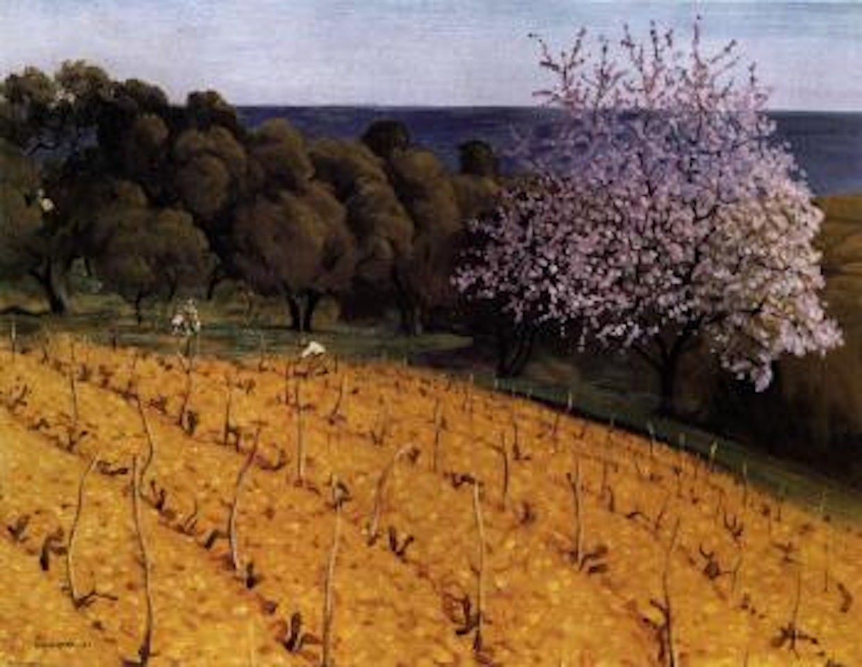 Tree in blossom by Félix Vallotton