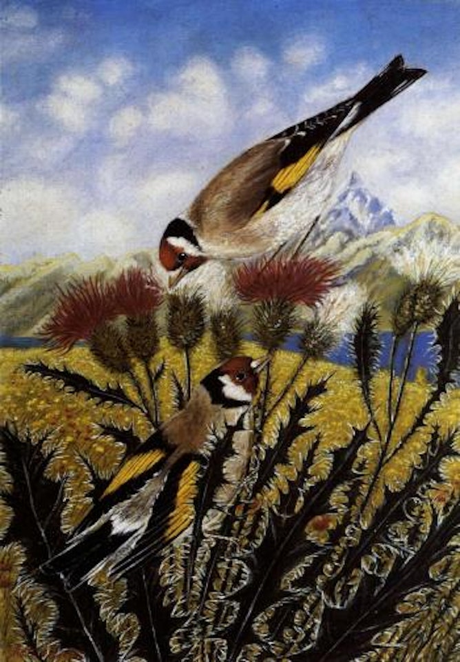 Two goldfinches on thistles by Adolf Dietrich