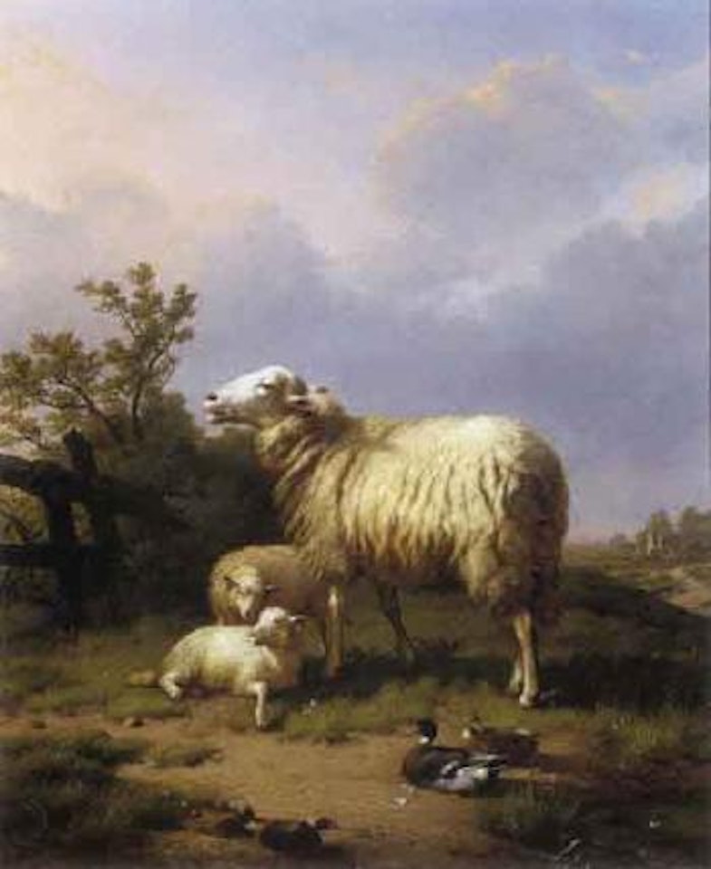 Sheep and ducks in landscape by Eugène Joseph Verboeckhoven