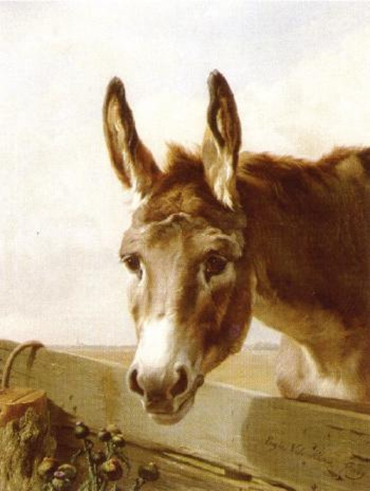 Donkey by Eugène Joseph Verboeckhoven