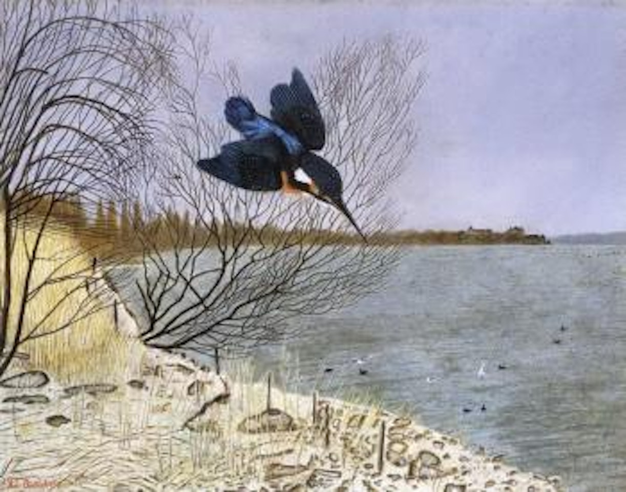 Kingfisher by Adolf Dietrich