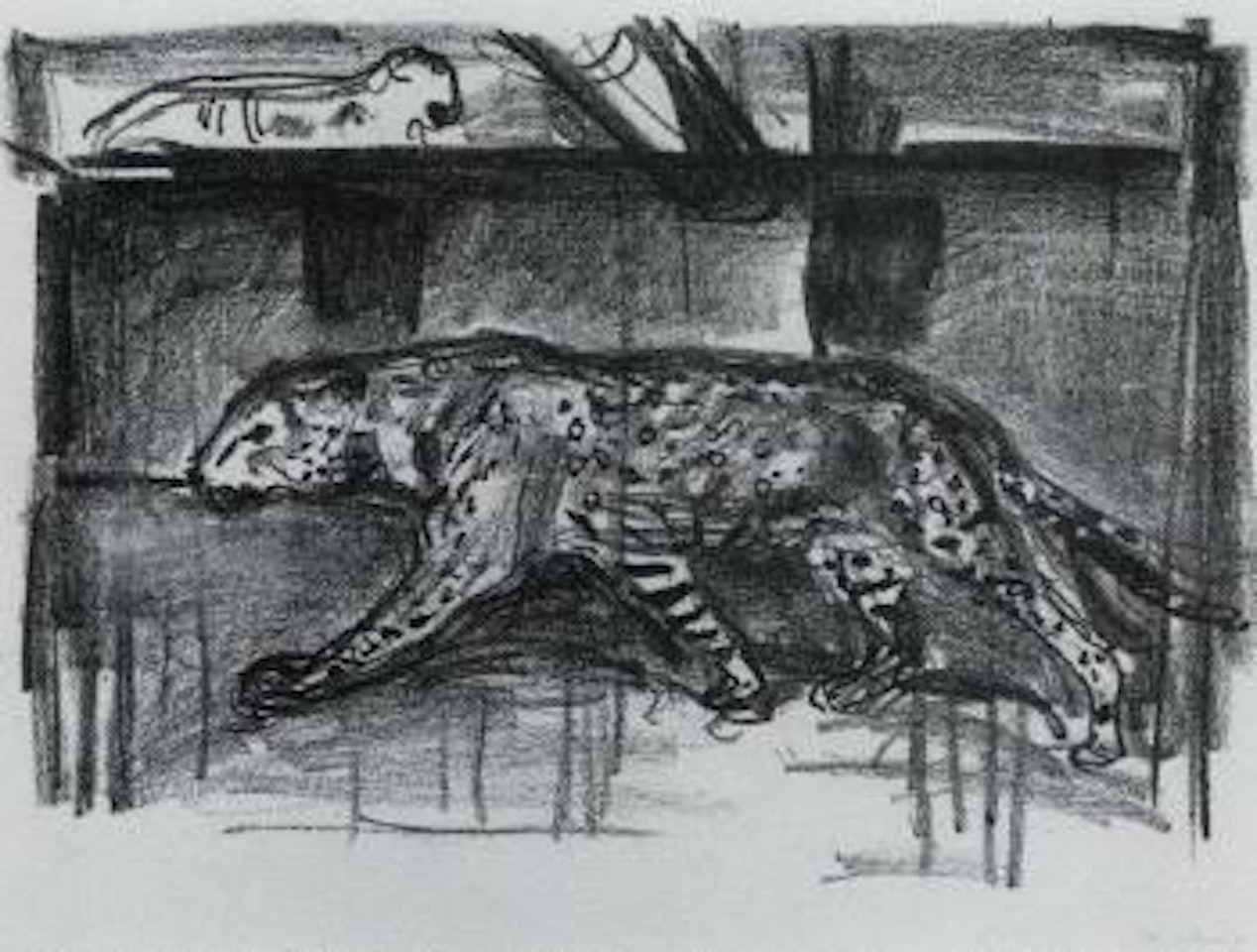 Panther in cage by Edvard Munch