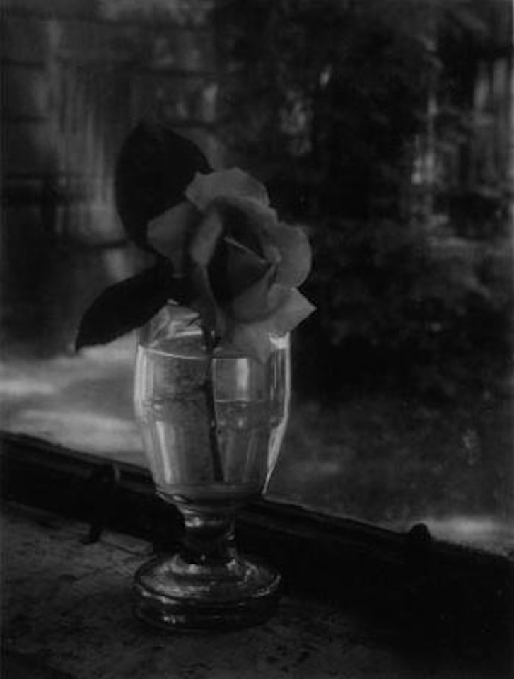Still life, rose in glass by Josef Sudek
