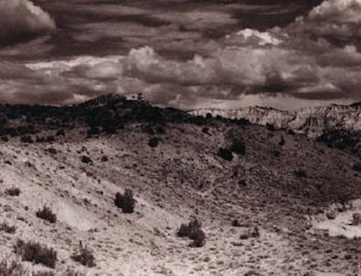 Near Rinconada, New Mexico by Paul Strand