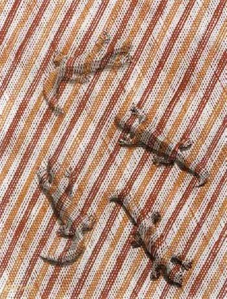 Cross hatched skinks by Lin Onus