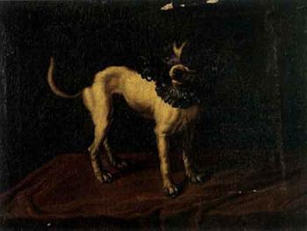 Dog with ruff and bells by Italian School