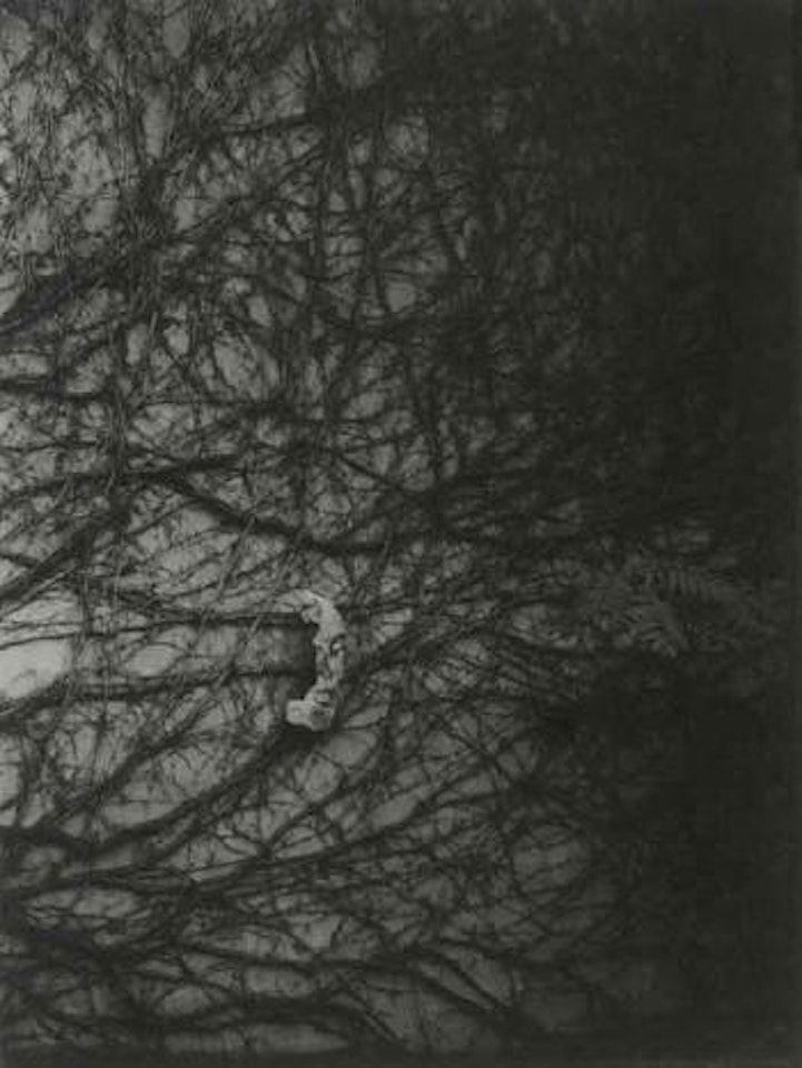 Remembrances of E.A. Poe by Josef Sudek