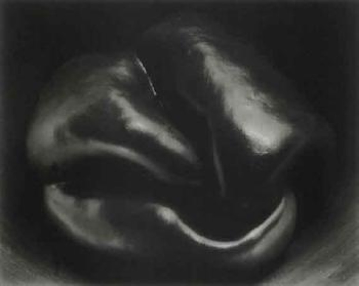 Pepper No.31 by Edward Weston