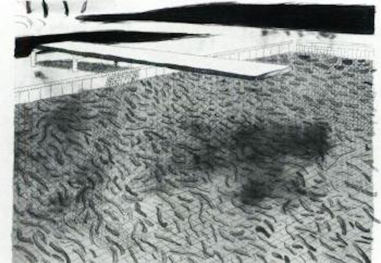 Lithograph of water made of lines with two light blue washes by David Hockney