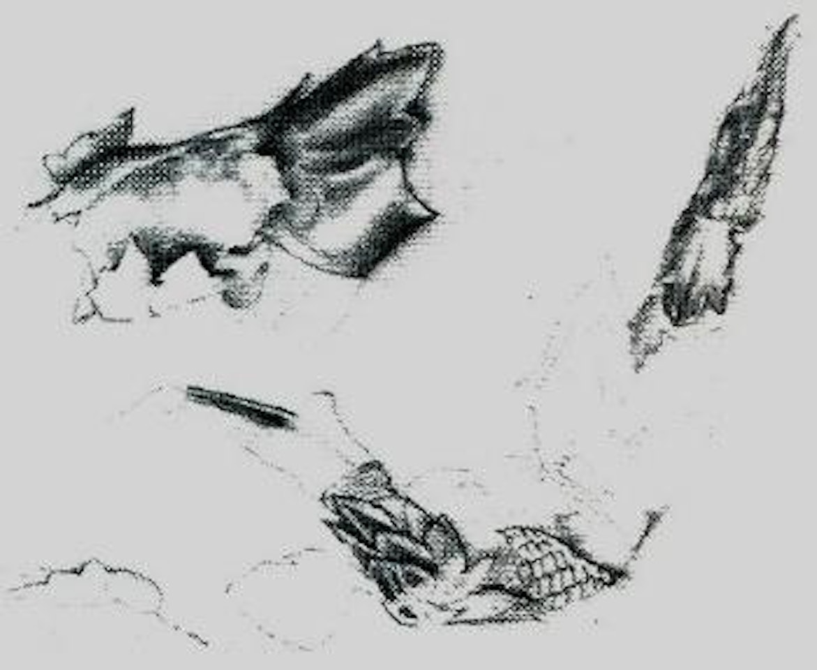 Studies of armour by Edward Coley Burne-Jones