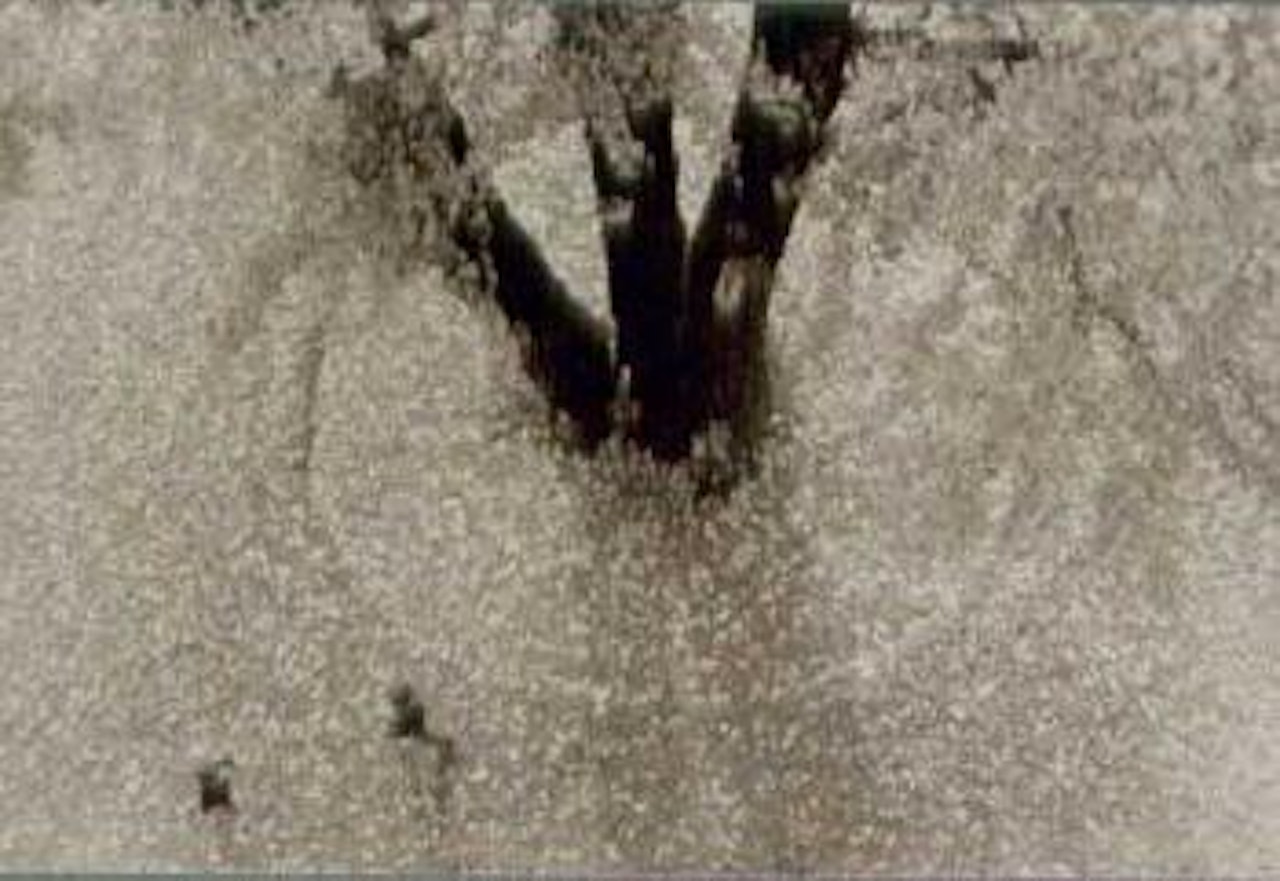 Fall by Takeichi Hotta