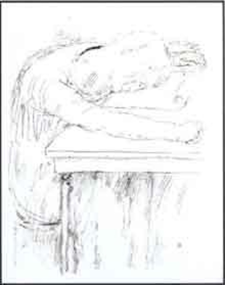 Sleeping at his desk by Pierre Bonnard