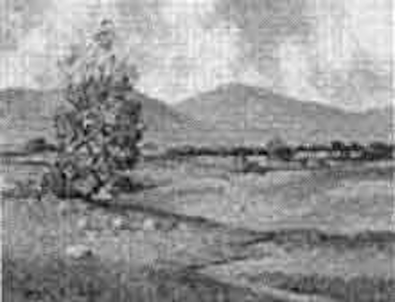 Near Castlewellan, Co. Down by Maurice Canning Wilks