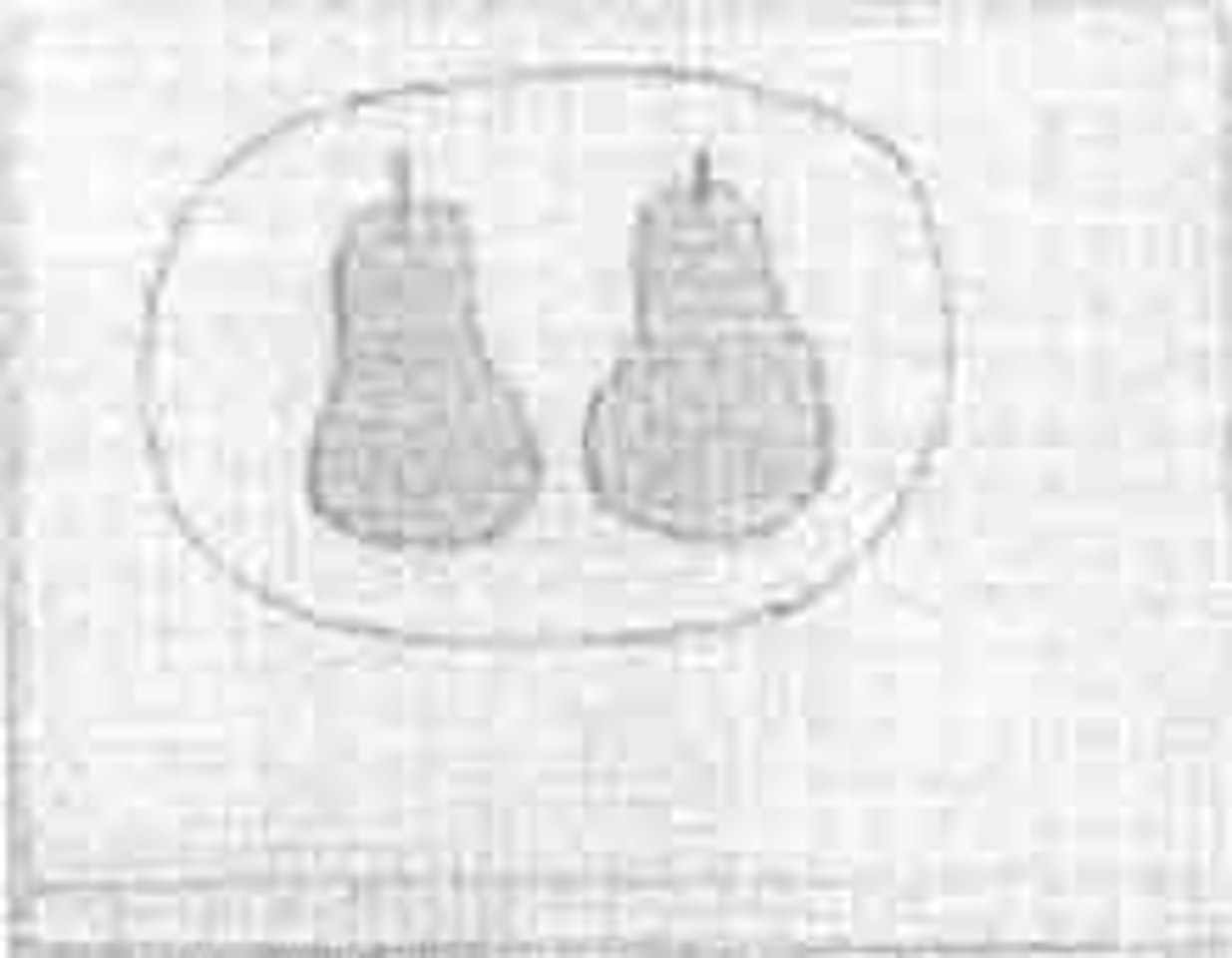 Pair of pears by William Scott