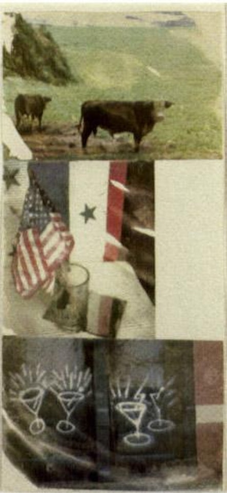 Witness by Robert Rauschenberg