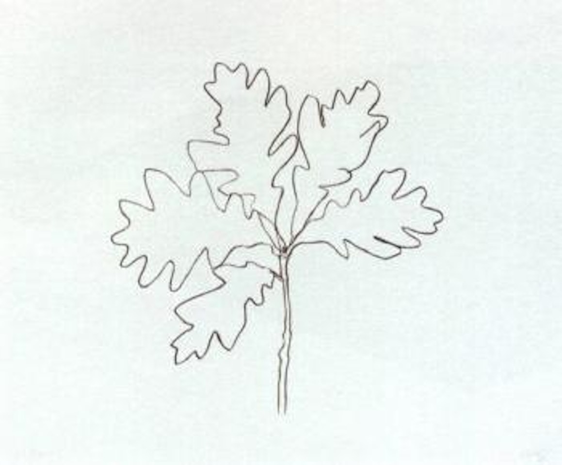 Oak III by Ellsworth Kelly