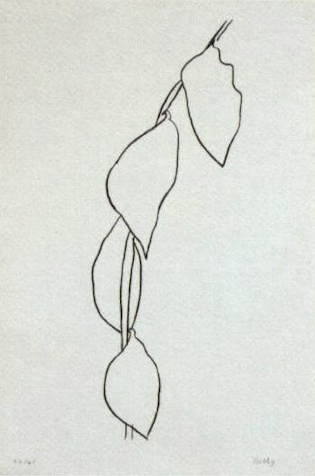 Lemon branch by Ellsworth Kelly