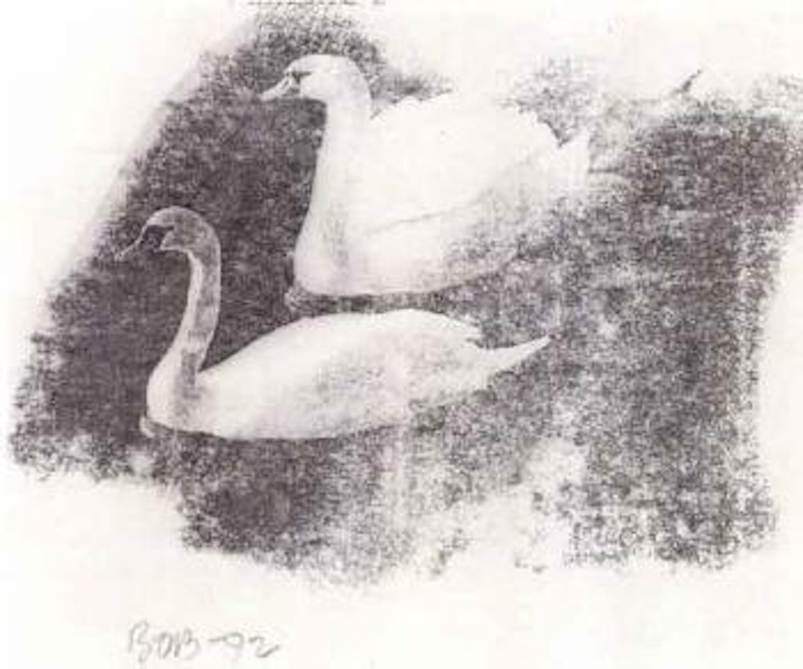 Two swans by Robert Rauschenberg