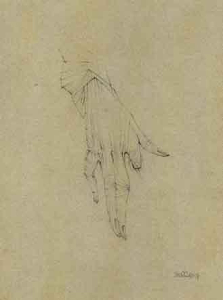Hand study by Hans Bellmer