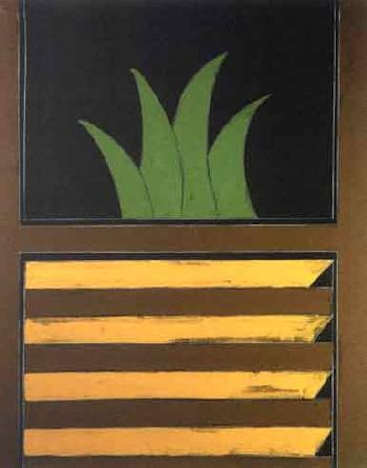 Cactus by Tano Festa