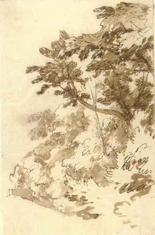 Trees and undergrowth by Jan de Bisschop