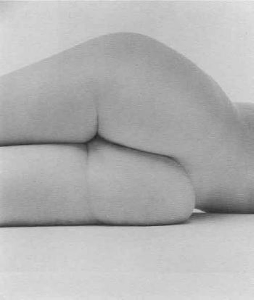 Nude 291 by Irving Penn