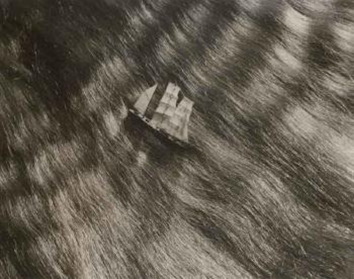 Study for Petrole Hahn by Dora Maar