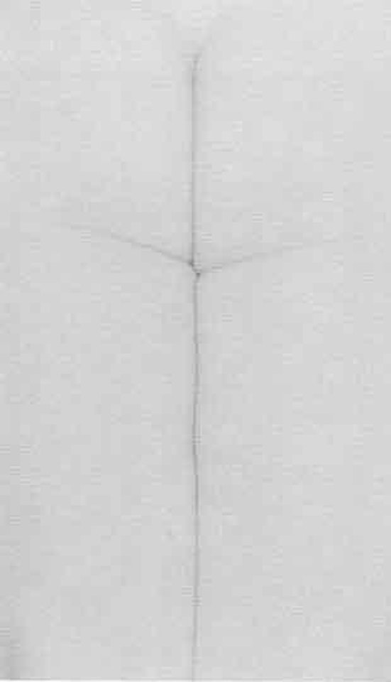 Eleanor, Chicago by Harry Callahan