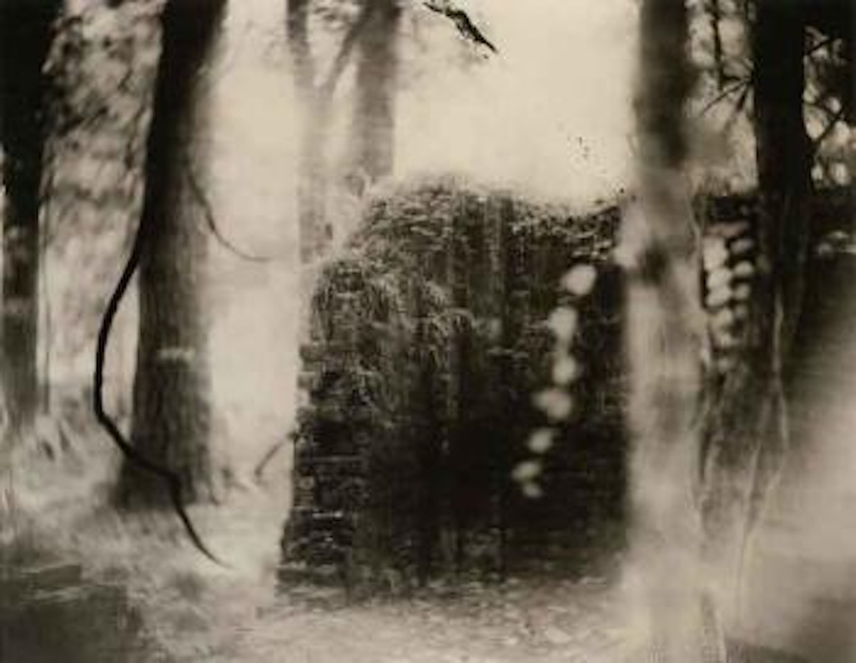 Deep South num 17 by Sally Mann