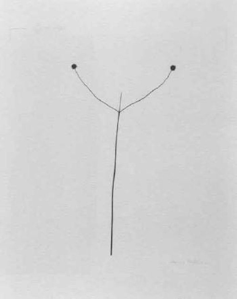 Weed against the sky, Detroit by Harry Callahan