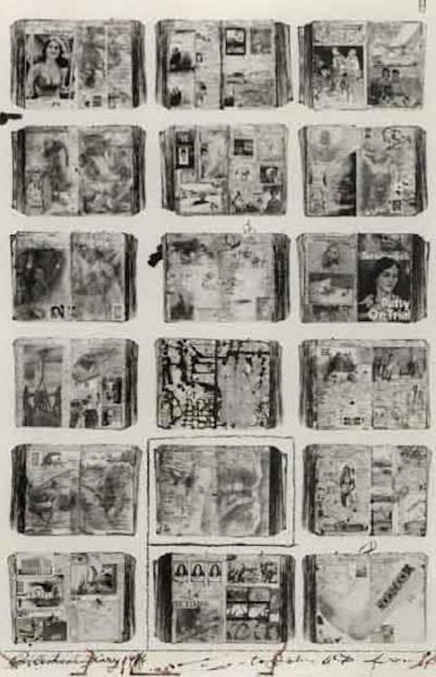 Bicentennial diary by Peter Beard