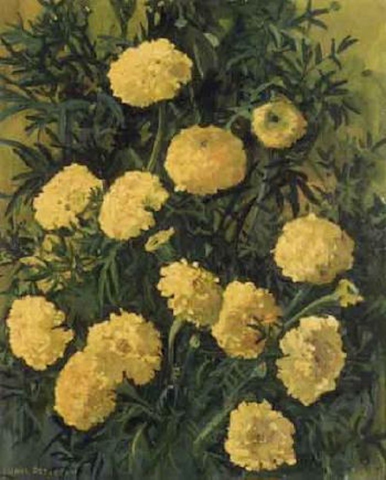 Flowers by Jane Peterson