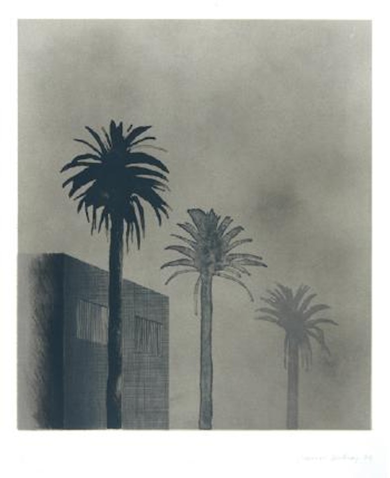 Dark mist by David Hockney