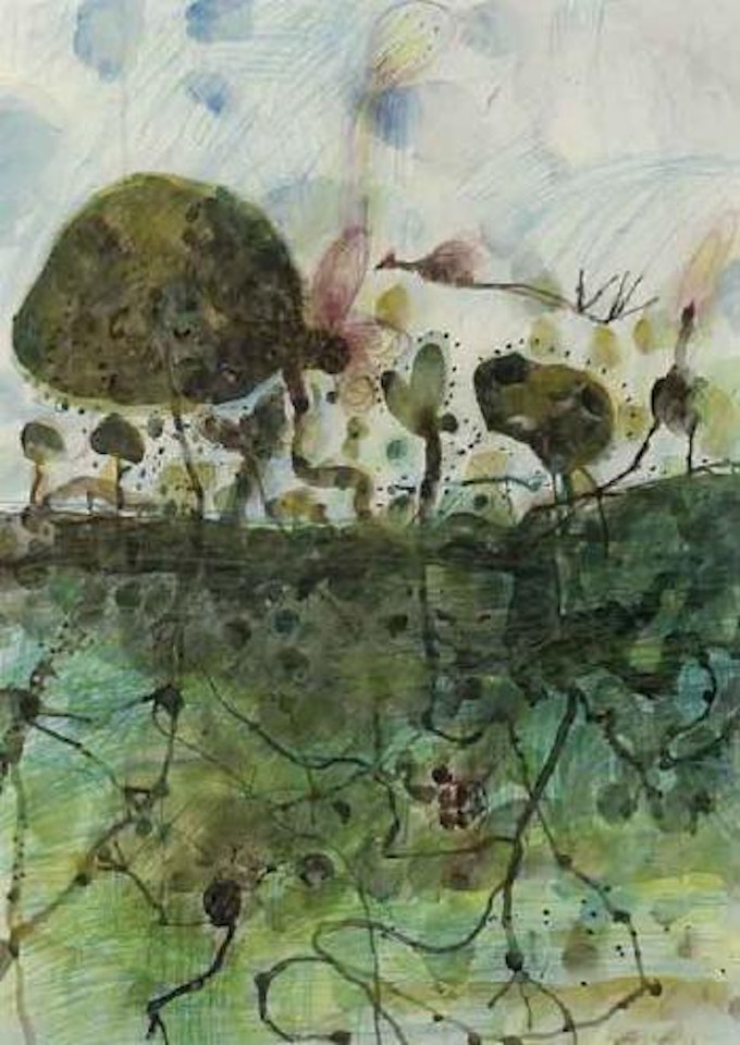 Lilly Trotters Ord river by John Olsen