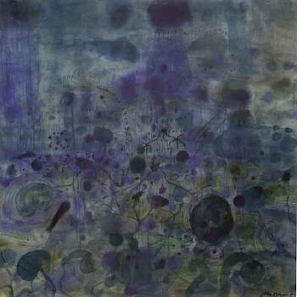 Jacanas and Ord in the wet season, or Ord river in the wet by John Olsen