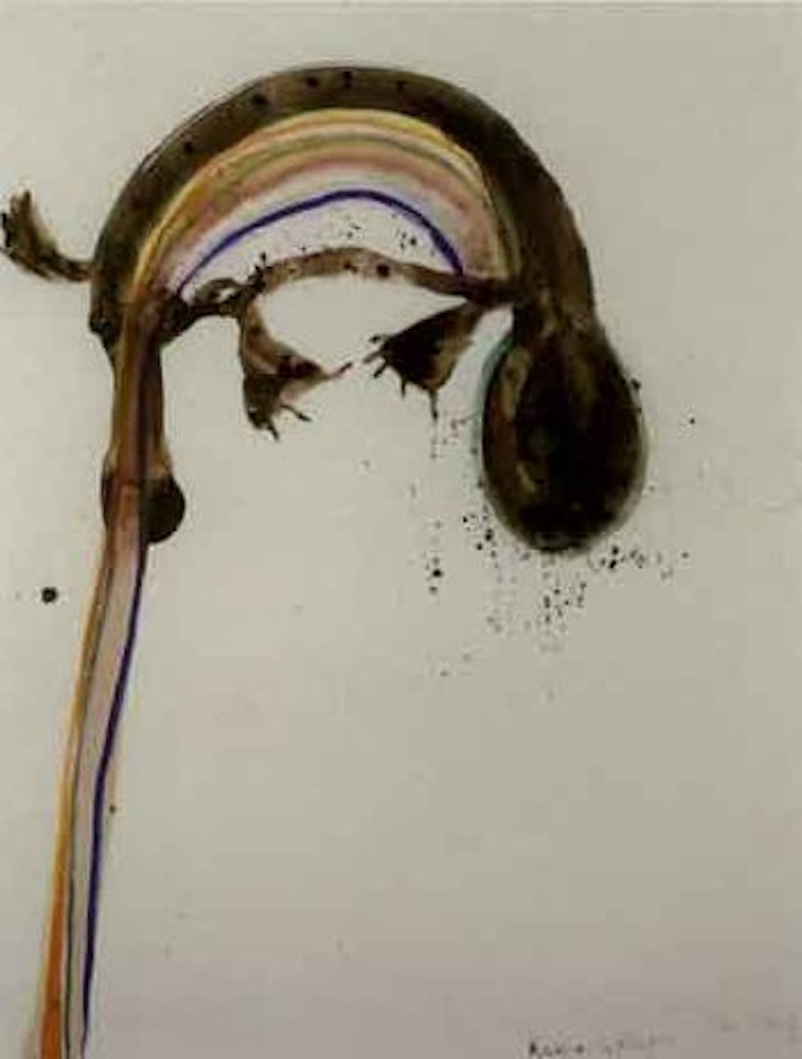 Rainbow and platypus by John Olsen