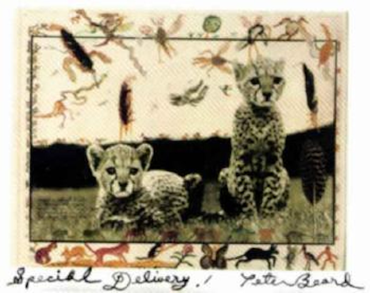 Special delivery by Peter Beard