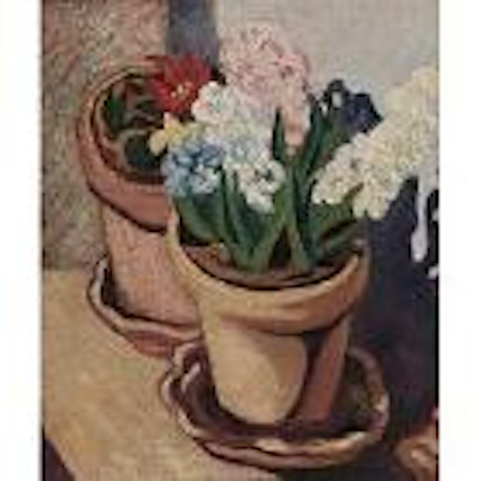 Deux pots de fleurs, fleurs de cactus et jacinthes by Louis Valtat