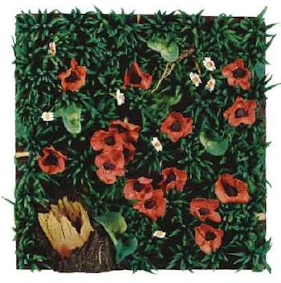 Poppies by Piero Gilardi