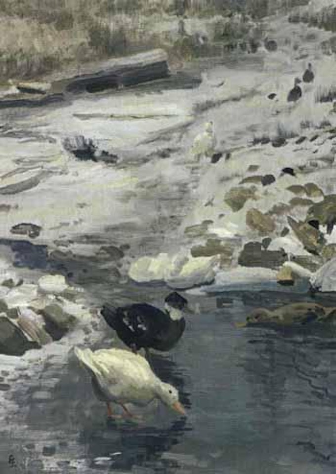 Ducks by water's edge by Christian Skredsvig