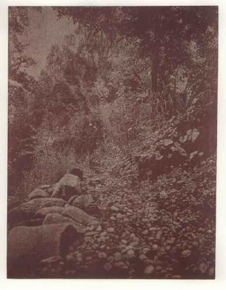 Ruschegg by Franz Gertsch