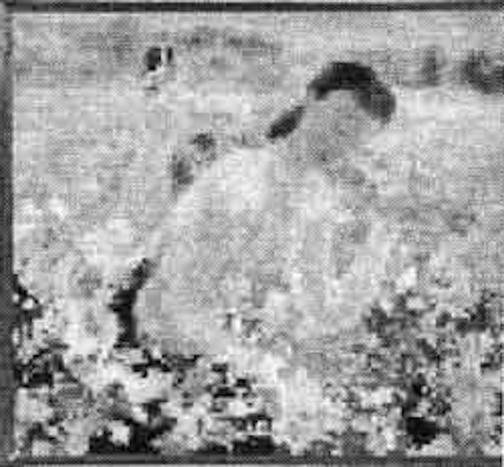 Les chrysanthemums by Le Pho